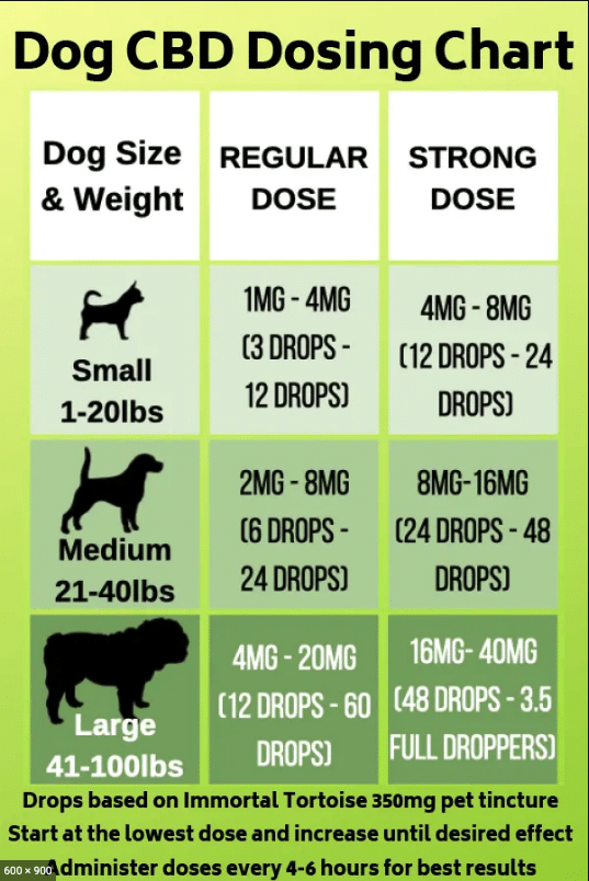 MediCBD CBD Oil for Dogs