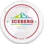Iceberg Mojito SNUS/NICOTINE POUCHES - XMANIA Ireland 7