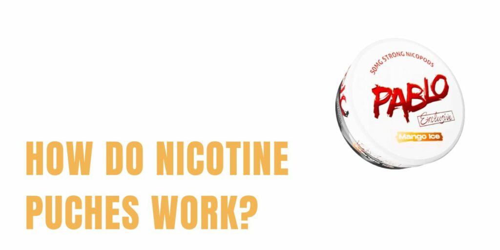 How do Nicotine Pouches work & how to use them?