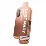 Lost Mary BM6000 – Snoow Tobacco Disposable – 2