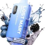 Lost Mary BM6000 - Acai Berry Blueberry Pre Filled Vape Kit Lost Mary BM6000 - Acai Berry Blueberry Pre Filled Vape Kit